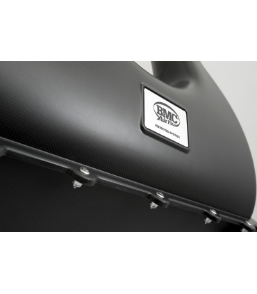 Filtro Carbono Racing REF: CRF668/01